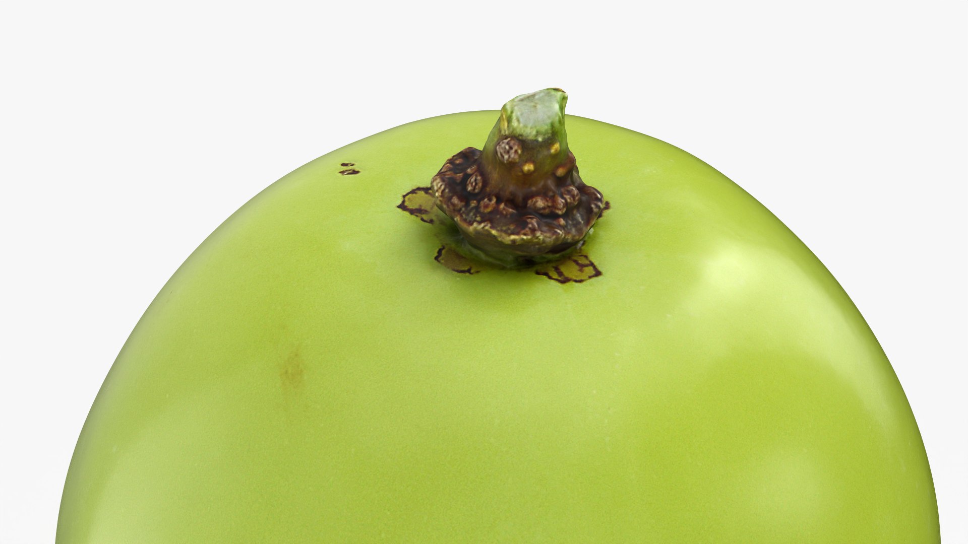 Green Grape 03 - 3D Scanned 3D https://p.turbosquid.com/ts-thumb/pn/woUZed/Bu/grapegreen03_0008/png/1781555411/1920x1080/fit_q87/eb3a8b6ae23aafaab74d3c35fcce6f764c12aab6/grapegreen03_0008.jpg