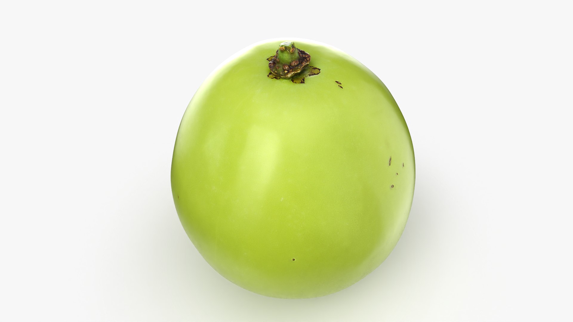 Green Grape 03 - 3D Scanned 3D https://p.turbosquid.com/ts-thumb/pn/woUZed/LN/grapegreen03_0007/png/1781555392/1920x1080/fit_q87/264a97749486bc61cf090072c5c3b9710cb66767/grapegreen03_0007.jpg