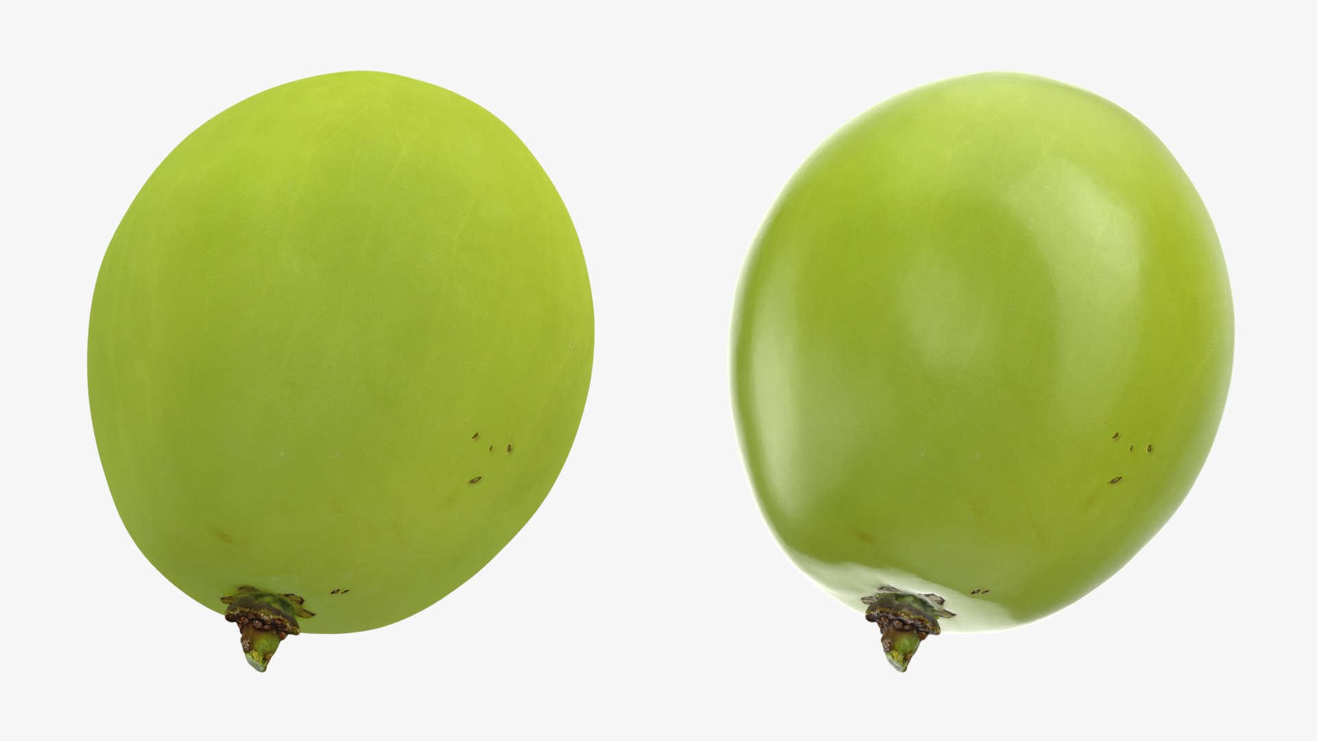Green Grape 03 - 3D Scanned 3D https://p.turbosquid.com/ts-thumb/pn/woUZed/OC/grapegreen03_0001b/png/1781555346/1920x1080/fit_q87/1514a47709f0bcccda5a83f52c7abfe99926baaa/grapegreen03_0001b.jpg