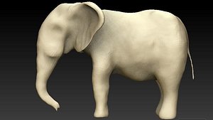 indian elephant base-mesh modeled model