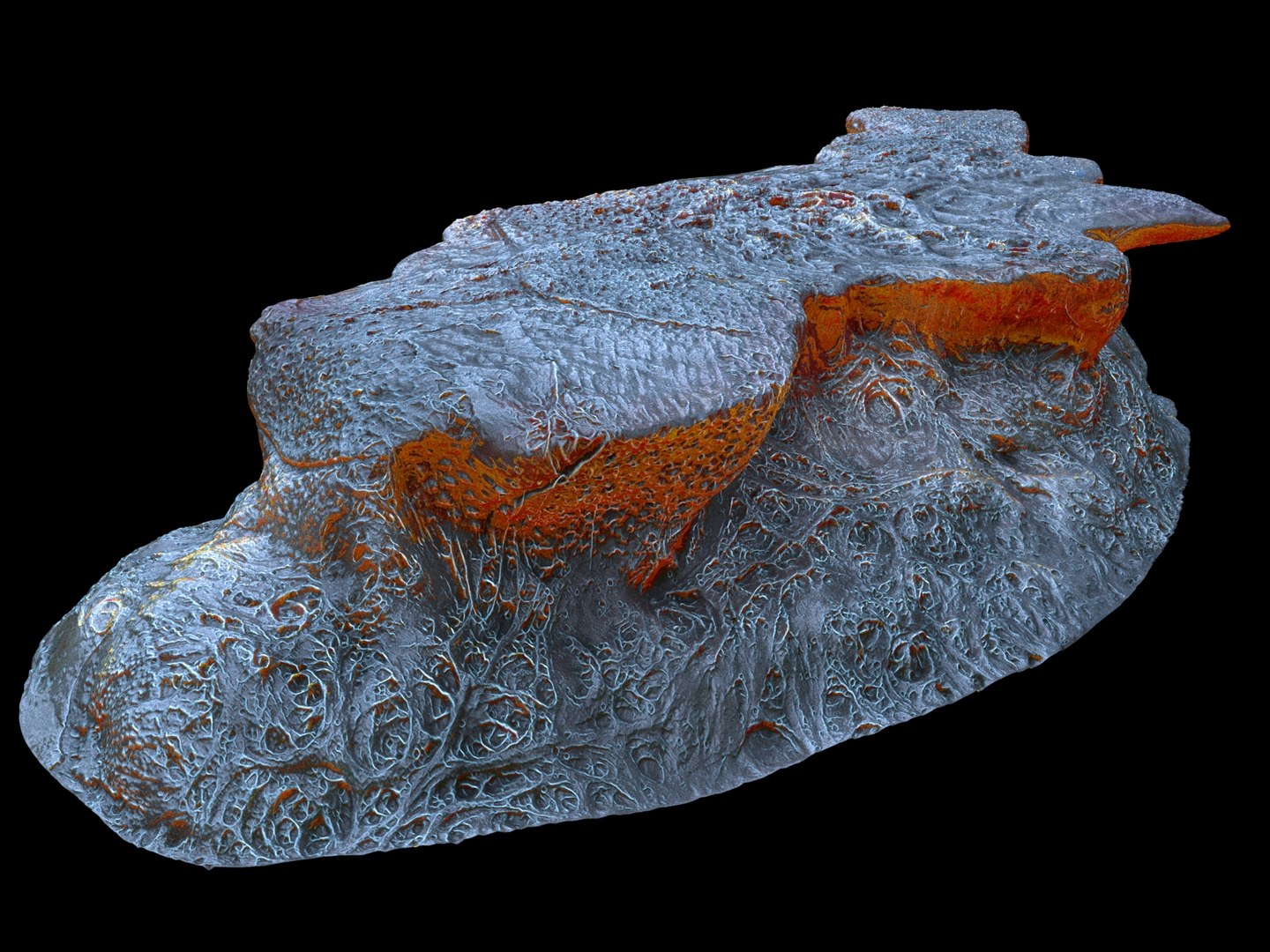 alien life forms cancer 3D model https://p.turbosquid.com/ts-thumb/po/10hGg0/5K031jDN/9908900/jpg/1560861563/1920x1080/fit_q87/1ed5a30439f5df301bb05cfb5b7a44777c841791/9908900.jpg