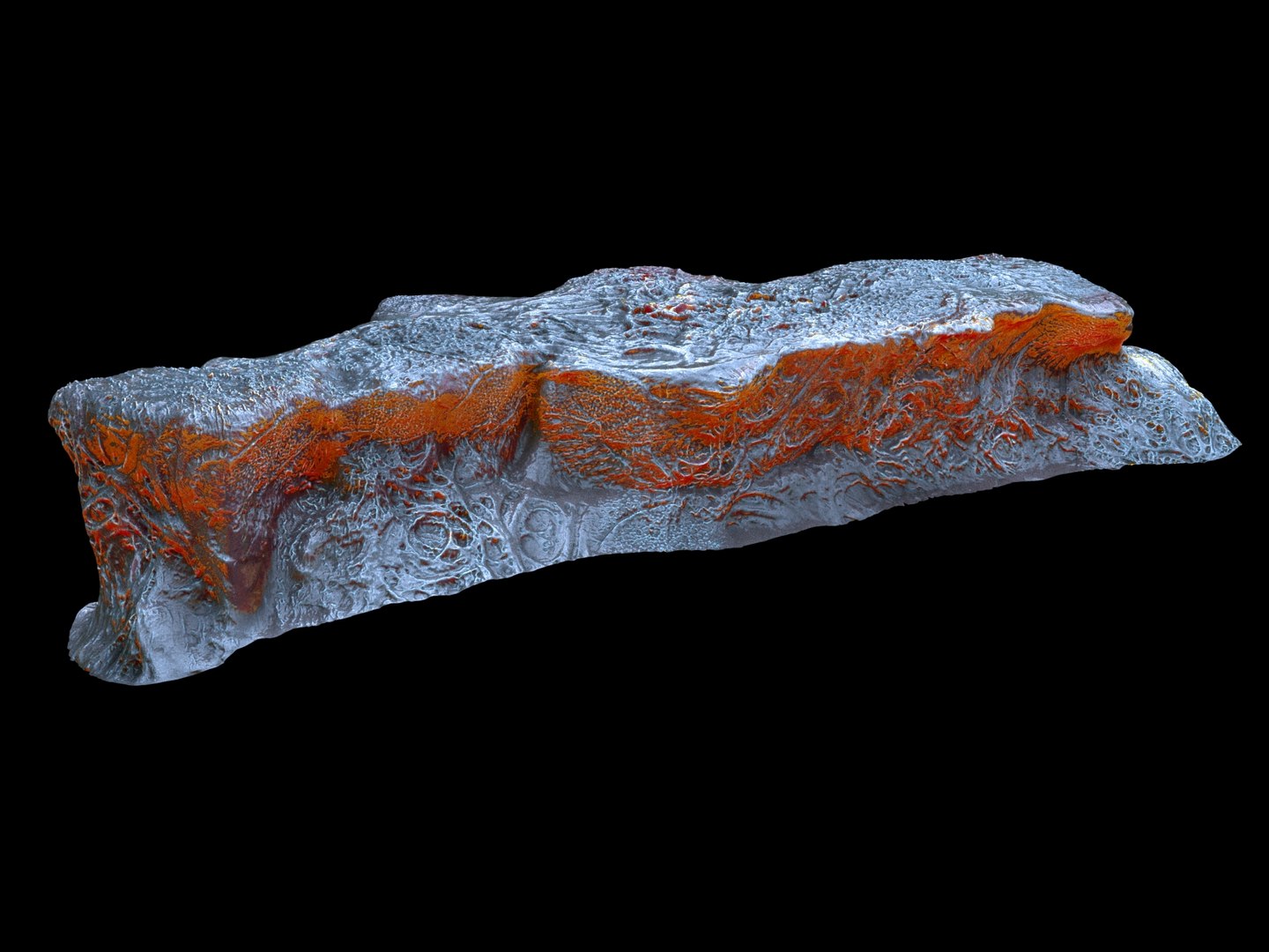 alien life forms cancer 3D model https://p.turbosquid.com/ts-thumb/po/10hGg0/A1wVbixN/7787998/jpg/1560861567/1920x1080/fit_q87/d13c22d185ca996640db7440bcb464033a067a8a/7787998.jpg