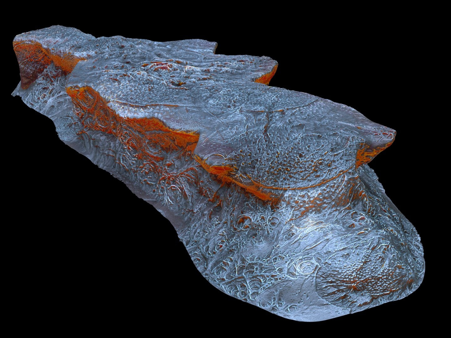 alien life forms cancer 3D model https://p.turbosquid.com/ts-thumb/po/10hGg0/k02wwqs7/99908900/jpg/1560861572/1920x1080/fit_q87/ede0d0f3e822ddc94e2b713d2c1c55d7c34bc828/99908900.jpg
