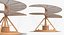 3D Leonardo da Vinci Vehicles Collection 3 model