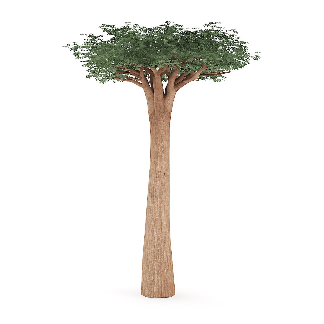 3D Baobab Tree - TurboSquid 1205266