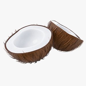 Cartoon Coconut Cracked model
