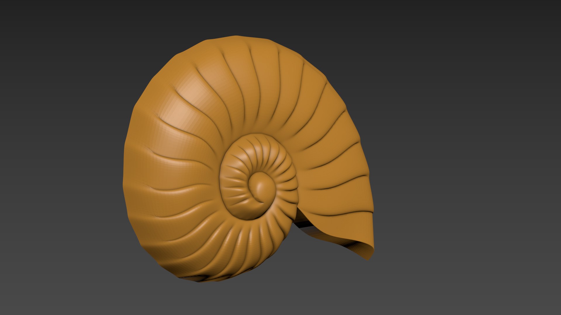 3D Seashell Shell Clam Shell Model - TurboSquid 2228150