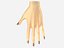 Female hand