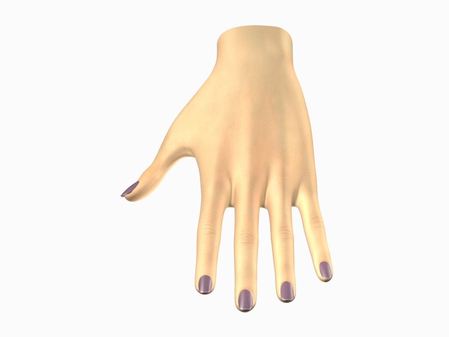 female hand 3d model https://p.turbosquid.com/ts-thumb/po/gyMzBC/MjsUTUAK/handup/jpg/1083710672/1920x1080/fit_q87/7c3919e360213d3c3a2f72752a99b33b78387e5b/handup.jpg