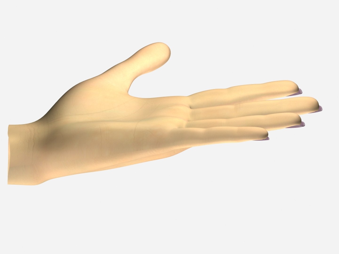 female hand 3d model https://p.turbosquid.com/ts-thumb/po/gyMzBC/NHplaq21/handdown/jpg/1083710666/1920x1080/fit_q87/a15df63762fc689a73c5519be0f9927fb3ebb610/handdown.jpg