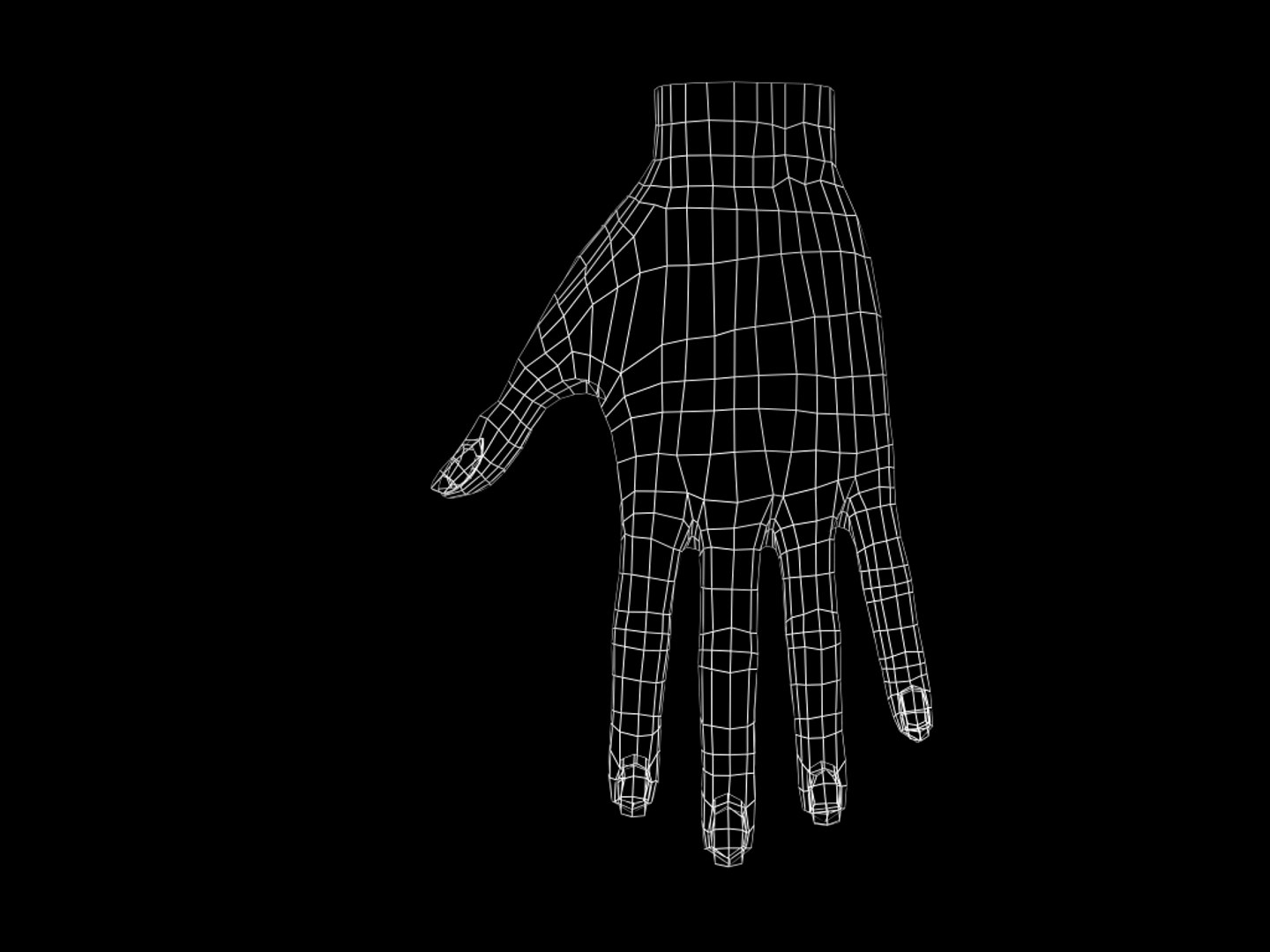 female hand 3d model https://p.turbosquid.com/ts-thumb/po/gyMzBC/gX3JcKQP/handwire/jpg/1083710675/1920x1080/fit_q87/4078b4aeffb4504138dc052e711cc32d1c8a9e2a/handwire.jpg