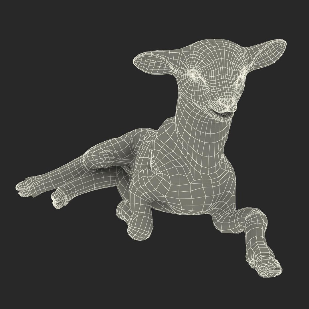 3d lamb pose 4