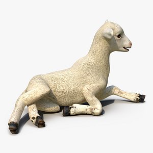 3d lamb pose 4