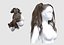 coletas cabello femenino