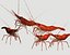 3d red spot prawn