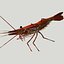 3d red spot prawn