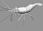3d red spot prawn