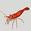 3d red spot prawn