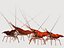 3d red spot prawn