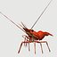 3d red spot prawn