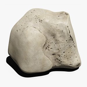 Cuneiform bone intermediate 3D model