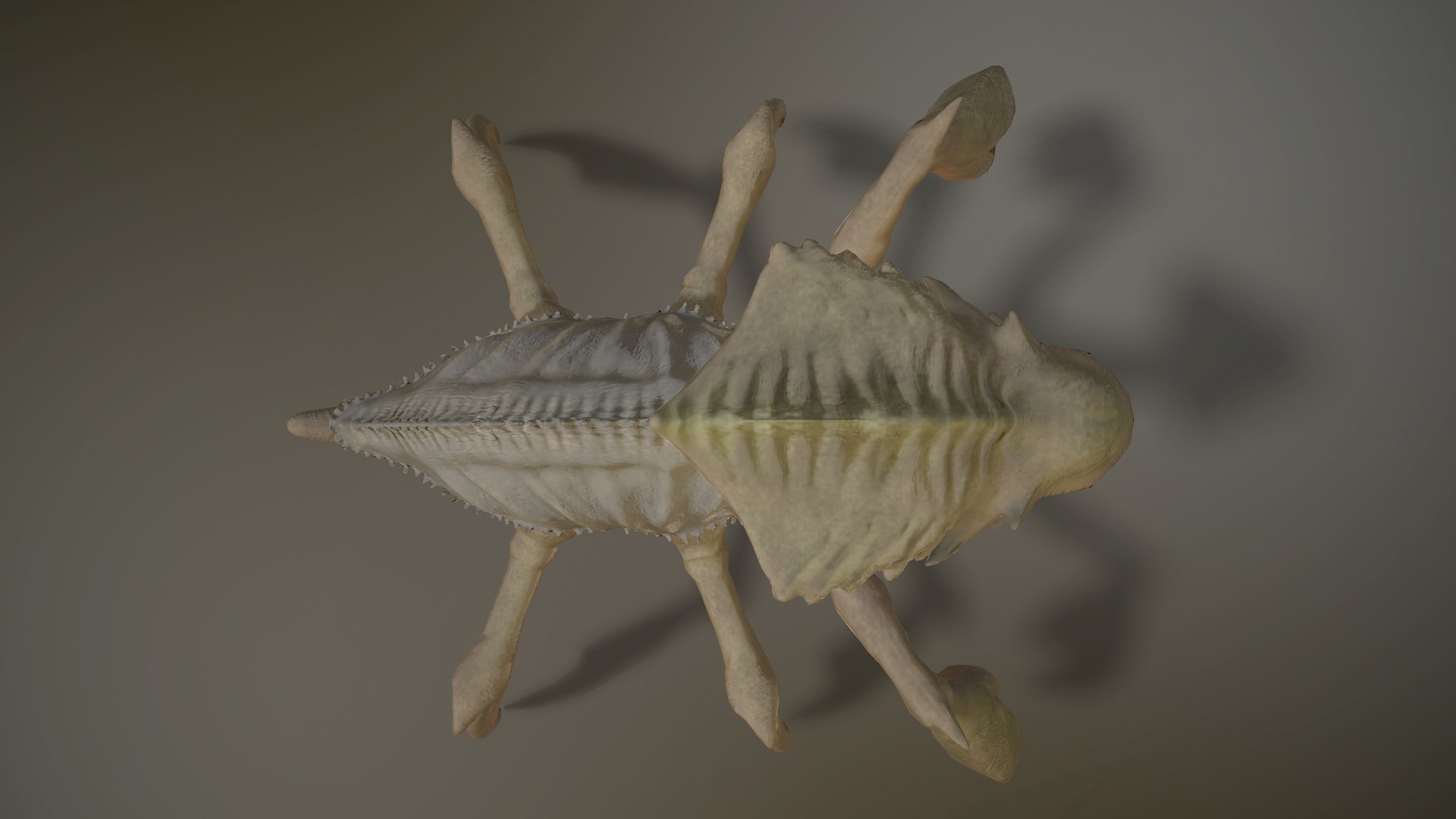animate ready 3D model https://p.turbosquid.com/ts-thumb/pp/868sxi/KiCnBOi9/8/png/1563735816/1920x1080/fit_q87/d0e78d5b7a211071c922a3c5d5a9cf85cdd1a00f/8.jpg