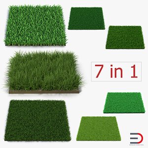 3d grass fields