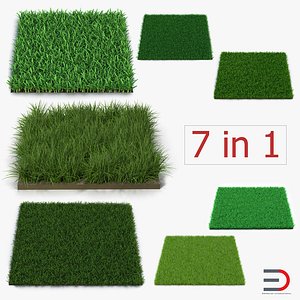 Grass Fields Collection