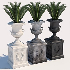 plants 223 indoor 3D model
