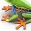 Red Eyed Tree Frog Pose 4