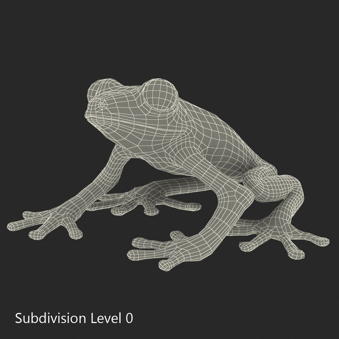 3d red eyed tree frog model https://p.turbosquid.com/ts-thumb/pp/yMUvrC/2A8NaqPZ/redeyedtreefrog3dmodel16/jpg/1451380751/1920x1080/fit_q87/c14d1d24ec0335ddbaeada6064e649bcbc4883bd/redeyedtreefrog3dmodel16.jpg