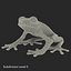 Red Eyed Tree Frog Pose 4