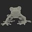 Red Eyed Tree Frog Pose 4