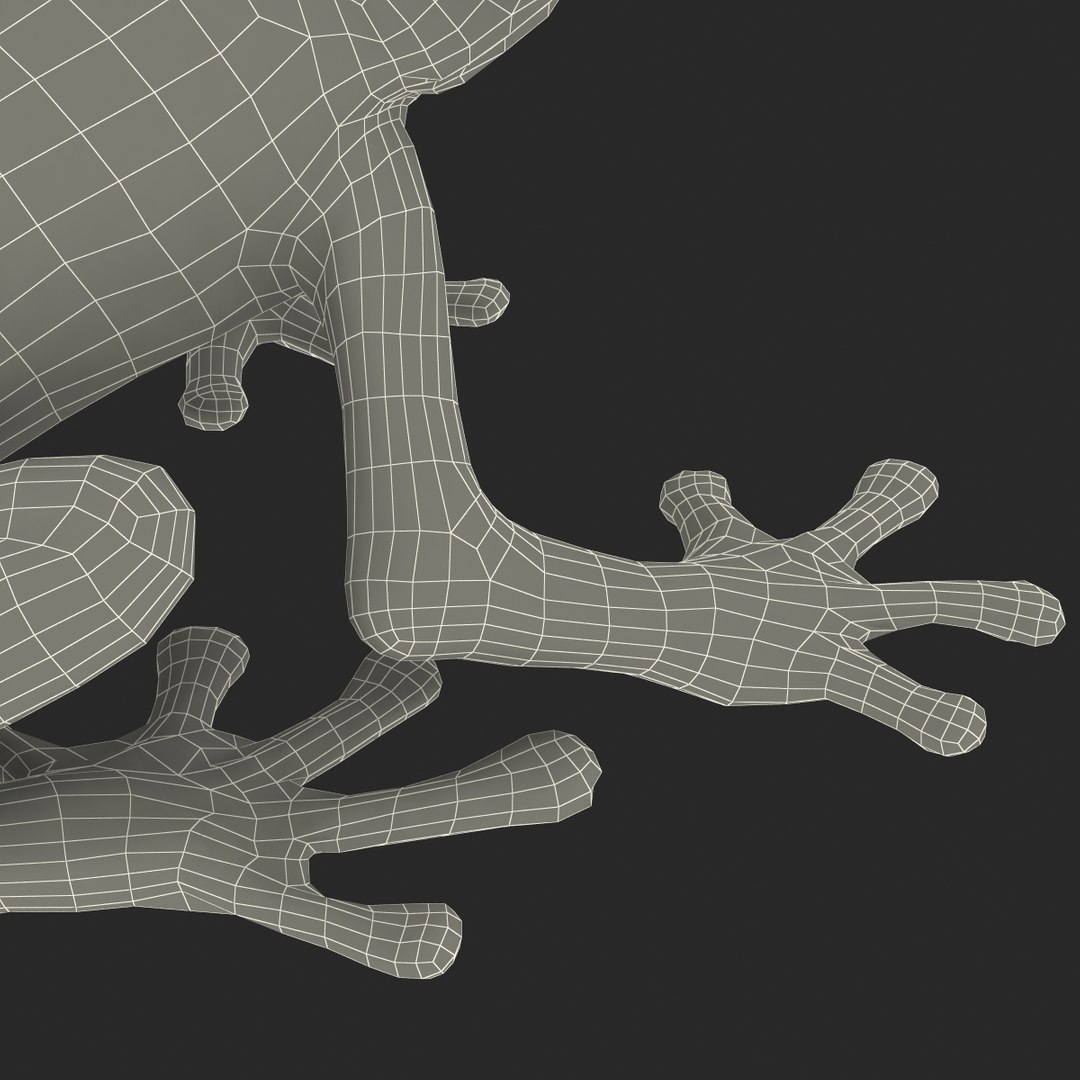 3d red eyed tree frog model https://p.turbosquid.com/ts-thumb/pp/yMUvrC/7ysJbbPq/redeyedtreefrog3dmodel32/jpg/1451380752/1920x1080/fit_q87/3e5e609a18eb8fc145212a5c29b171e22c2bd96c/redeyedtreefrog3dmodel32.jpg