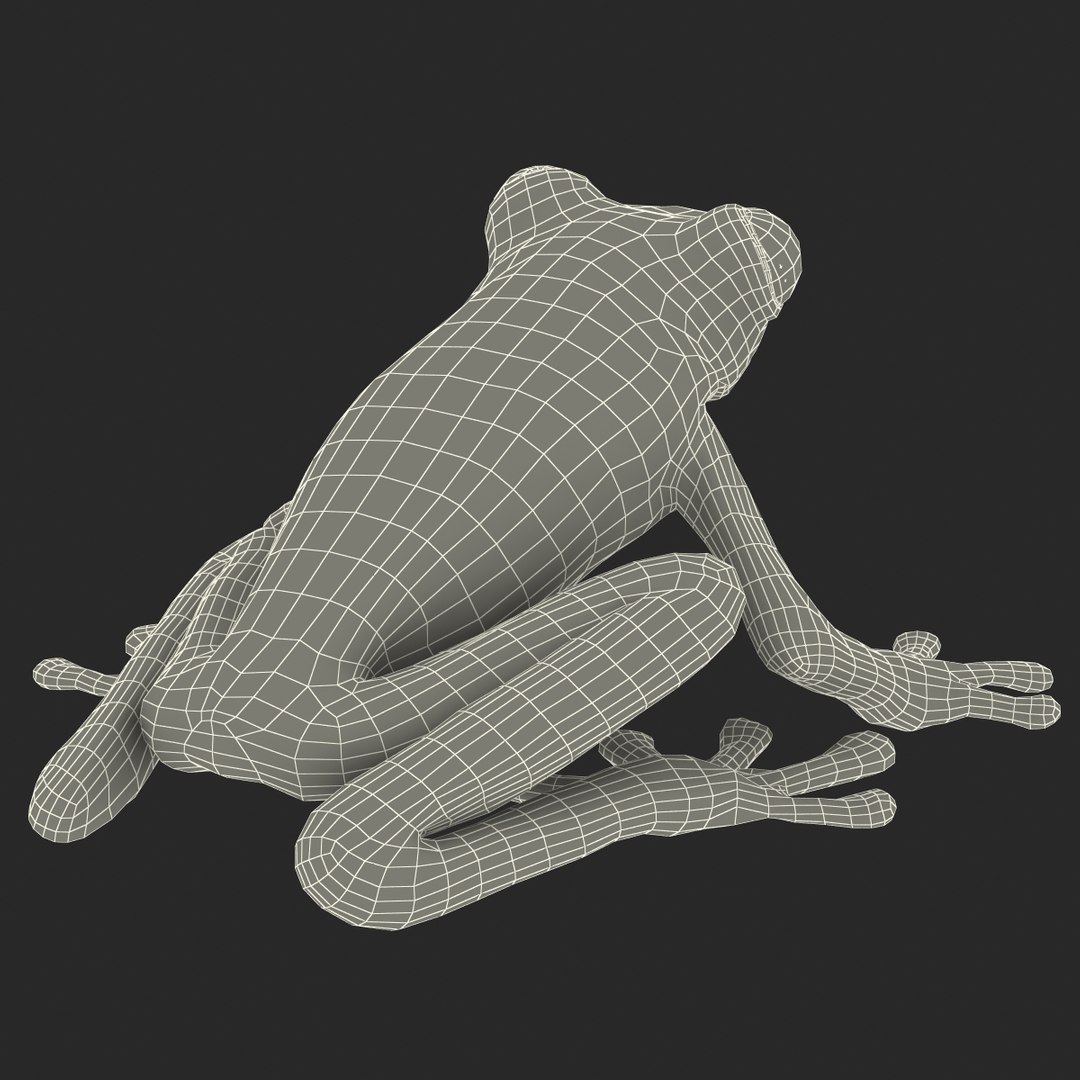 3d red eyed tree frog model https://p.turbosquid.com/ts-thumb/pp/yMUvrC/8RQrpEVs/redeyedtreefrog3dmodel23/jpg/1451380751/1920x1080/fit_q87/a2eea4577c3ab9f6644ba6011da5f77c46f14957/redeyedtreefrog3dmodel23.jpg