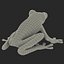 Red Eyed Tree Frog Pose 4