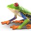 Red Eyed Tree Frog Pose 4