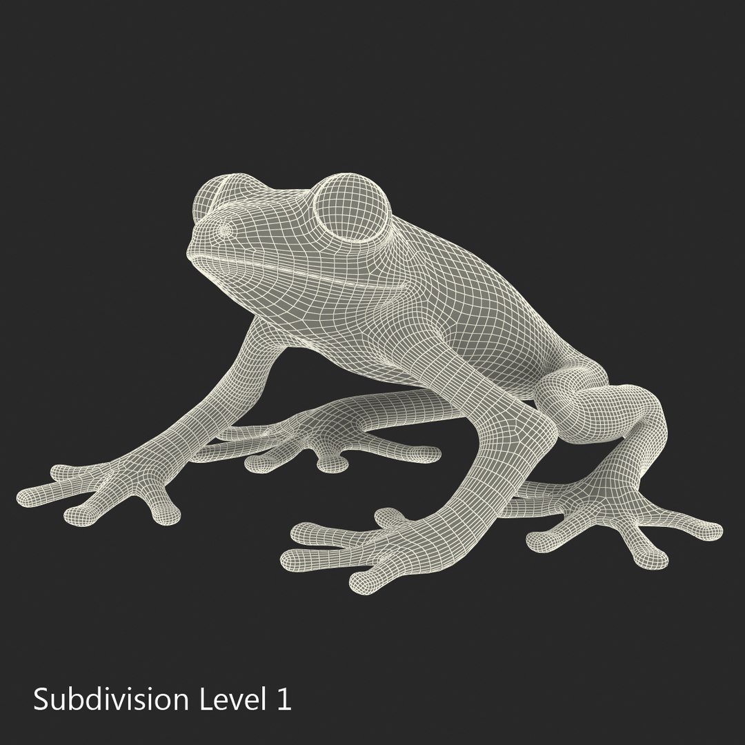 3d red eyed tree frog model https://p.turbosquid.com/ts-thumb/pp/yMUvrC/9WRX09pG/redeyedtreefrog3dmodel17/jpg/1451380751/1920x1080/fit_q87/7a29d9363573ddf80ad61e39b3fcc840b13313c8/redeyedtreefrog3dmodel17.jpg
