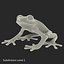 Red Eyed Tree Frog Pose 4