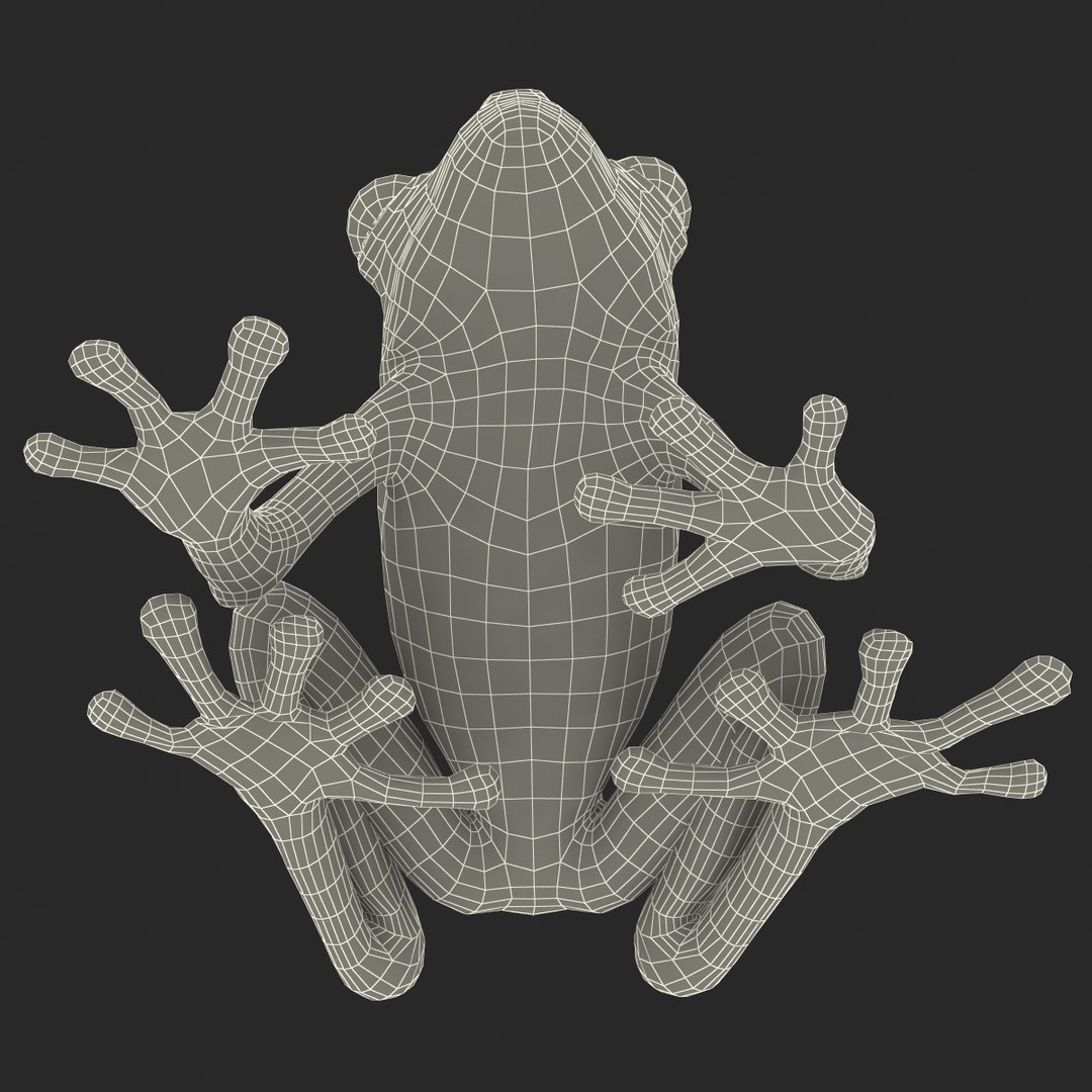 3d red eyed tree frog model https://p.turbosquid.com/ts-thumb/pp/yMUvrC/BJIImhLJ/redeyedtreefrog3dmodel28/jpg/1451380752/1920x1080/fit_q87/72fb91c611d5fdb83a257eebb1ead99a87528e6a/redeyedtreefrog3dmodel28.jpg
