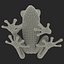 Red Eyed Tree Frog Pose 4