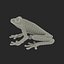 Red Eyed Tree Frog Pose 4