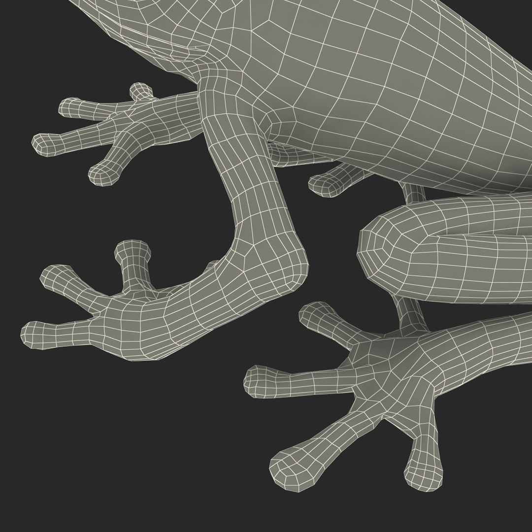 3d red eyed tree frog model https://p.turbosquid.com/ts-thumb/pp/yMUvrC/GVCYbV7R/redeyedtreefrog3dmodel31/jpg/1451380752/1920x1080/fit_q87/ca2438747e883141aa1e317952b036da058ee9de/redeyedtreefrog3dmodel31.jpg
