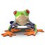 Red Eyed Tree Frog Pose 4