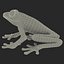 Red Eyed Tree Frog Pose 4