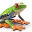 Red Eyed Tree Frog Pose 4