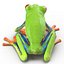 Red Eyed Tree Frog Pose 4