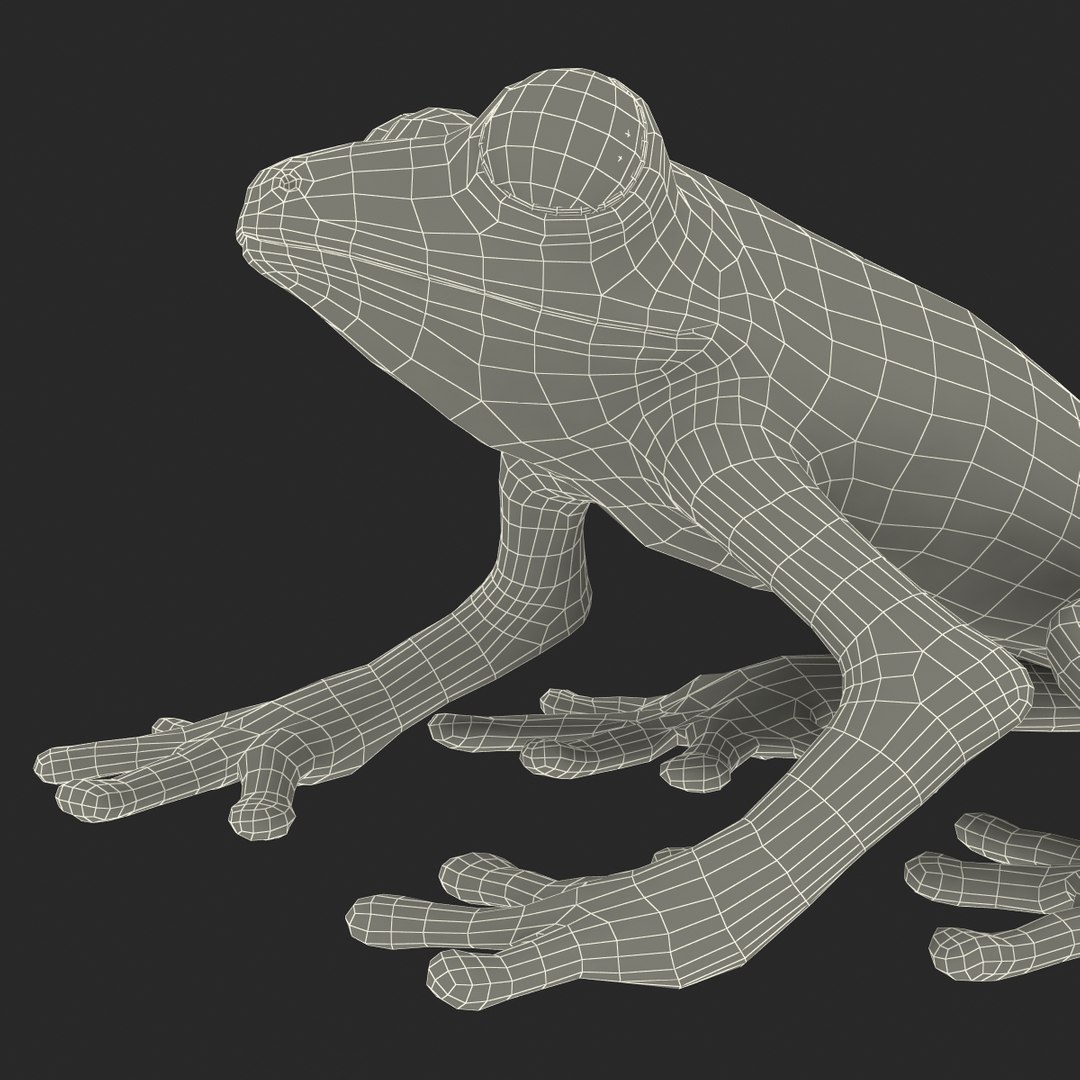 3d red eyed tree frog model https://p.turbosquid.com/ts-thumb/pp/yMUvrC/ZTetGSuq/redeyedtreefrog3dmodel30/jpg/1451380752/1920x1080/fit_q87/42d439cf21ce2a3c4d9d387576e139522402bc74/redeyedtreefrog3dmodel30.jpg