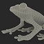 Red Eyed Tree Frog Pose 4