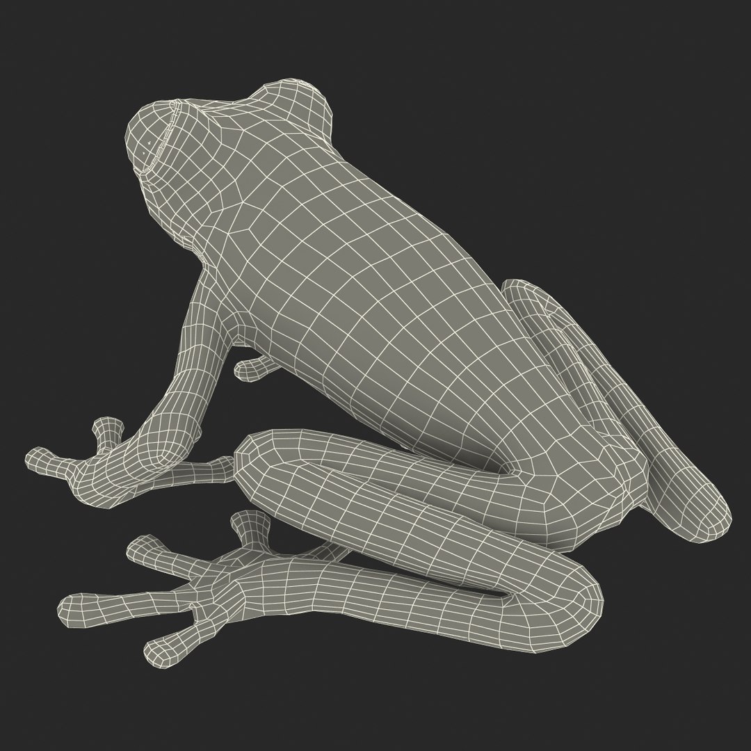 3d red eyed tree frog model https://p.turbosquid.com/ts-thumb/pp/yMUvrC/ZyTlNZoY/redeyedtreefrog3dmodel24/jpg/1451380751/1920x1080/fit_q87/abf0861d70c5035758e0b7becb24fb4bab8b5fd0/redeyedtreefrog3dmodel24.jpg